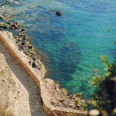Sweet Lloret *